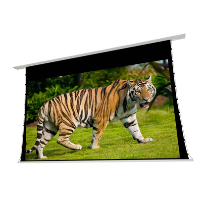 EluneVision 120" Reference Studio 4K+ Tab-Tensioned In-Ceiling Projector Screen